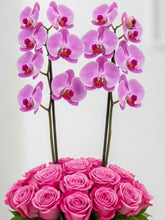 Elegancia Pink Nido con Rosas